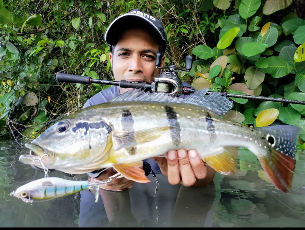 Isca Artificial Topwater com Cauda Rotativa - Águas Nobres