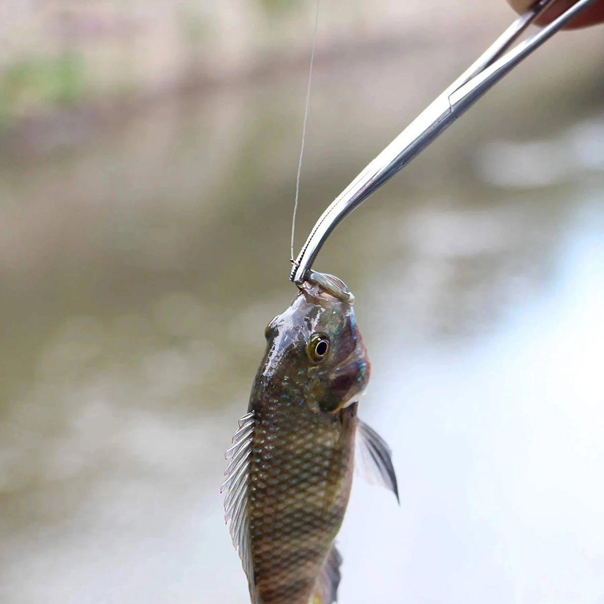 Alicate de Pesca em Aço Inoxidável com Ponta Curva e Trava Ajustável - Águas Nobres